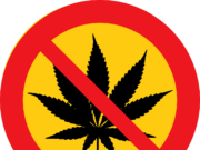 Öffentlicher Cannabis-Konsum kaum gesetzeskonform möglich