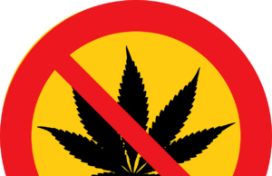 Öffentlicher Cannabis-Konsum kaum gesetzeskonform möglich