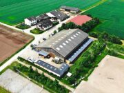 Auf dem Rücken der Pferde, liegt das Glück dieser Erde Führung in Bauschheim zum Reiterhof Sonnenhof am 30. Mai 2024 (Fronleichnam)