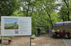 Nun wird auch Ostparkweiher nachhaltig entschlammt