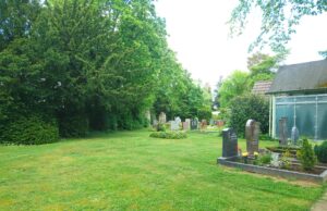 Kein Platz für Baumbestattungen Trauerkultur >>>CDU-Anfrage abgelehnt – Draiser Friedhof ist mit 0,4 Hektar zu klein dafür