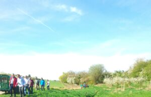 Der Finther Aubach soll renaturiert werden Naturschutz >>>Ingenieurbüro stellt Pläne im Ortsbeirat vor