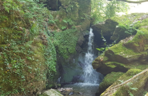 Juni Wanderung der TG Kastel