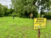 Neugestaltung des Grillplatzes Nackenheimer Treffpunkt für Jung und Alt