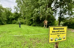 Neugestaltung des Grillplatzes Nackenheimer Treffpunkt für Jung und Alt