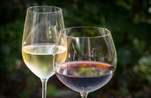 Der Gesangverein Frohsinn 1858 e.V. aus Königstädten lädt zu „Wein am Main“