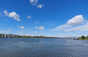 Wilma wandert zur Mainspitze: Natureindrücke und Historie