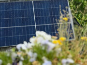 Workshop zur Balkon-PV-Montage Praxistipps und individuelle Beratung in Budenheim