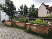 Urban Gardening an der Alten Malzfabrik