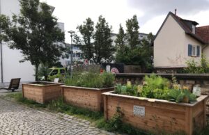 Urban Gardening an der Alten Malzfabrik