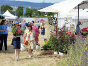 GardenING kommt 2025 wohl wieder IkUM zieht positive Bilanz des Highlights für Gartenfreunde