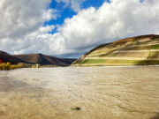 Hochwasservorbereitungen im Landkreis Lageüberblick in Rhein-Selz, Ingelheim und Budenheim