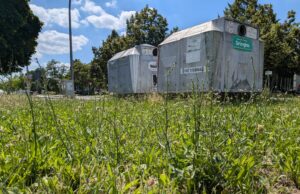 Afrikanische Schweinepest: Grünpflege- und Mäharbeiten stark eingeschränkt