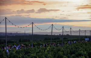Countdown für das Hochheimer Weinfest läuft Vom 12. bis 15. Juli wird die Altstadt zur Bühne für Wein und Musik