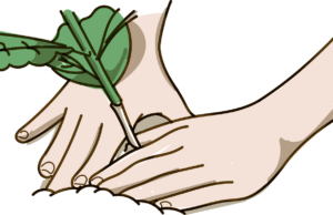 GiGu looks good? GiGu looks better!