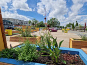 Leihmöbel am Mainufer – Meinung der Bürgerinnen und Bürger ist gefragt!