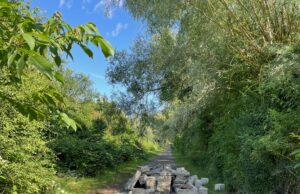 Illegale Ablagerung von Bauschutt