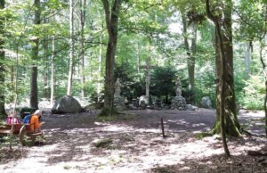 Freizeitplus-Wanderung „Rundtour Goldbach – Haibach“ am 21. Juli 2024