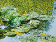 Katharina Gierlach: Green Deal Ausstellungseröffnung: 7. Juli 2024, 15 – 18 Uhr