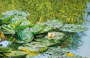 Katharina Gierlach: Green Deal Ausstellungseröffnung: 7. Juli 2024, 15 – 18 Uhr