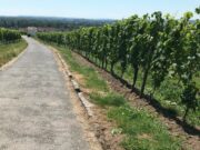 Diebstahl von Steinen im Steinweg unterhalb des Friedhofs – Hinweise erbeten