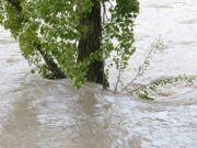 Vorsorge trifft Sicherheit KONZEPT >>Hochwasser- und Starkregenvorsorge der VG Nieder-Olm