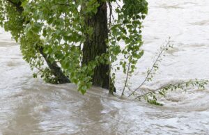 Vorsorge trifft Sicherheit KONZEPT >>Hochwasser- und Starkregenvorsorge der VG Nieder-Olm