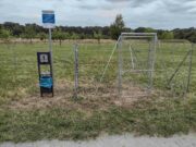 Temporäre Hundewiese bei Königstädten öffnet