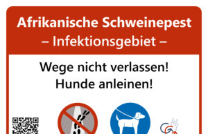 Aufreibender Kampf gegen die Afrikanische Schweinepest Verhalten jedes einzelnen zählt