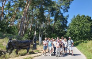 SKG Freizeit-Wanderung Zu den Kelten auf der Bulau (Rödermark)