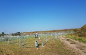 Erinnerung: Afrikanische Schweinepest: Stadt stellt Hundewiesen zur Verfügung