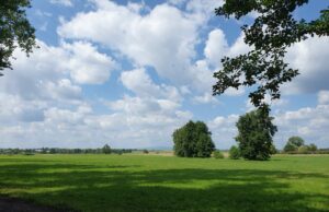 Einladung zur SKG Freizeit-Wanderung am Sonntag, den 11. August 2024 Zu den Kelten auf der Bulau (Rödermark)