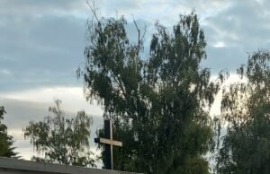 Schmierereien an Friedhofsmauer in Kostheim