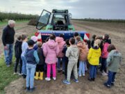 Einblicke in die Arbeit des Obstanbaus Finther Bauernverein nahm Grundschüler mit auf die Felder