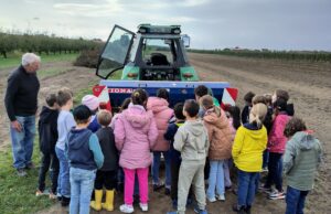 Einblicke in die Arbeit des Obstanbaus Finther Bauernverein nahm Grundschüler mit auf die Felder