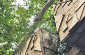 Unverzichtbare Arbeiten an der „Grünen Brücke“ Stahlhalterungen weisen Korrosionsschäden auf