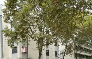 Mit Spaß und Schwung elektrisch unterwegs Mobilität >>>Fahrradvermietsystem „meinRad“ bietet 200 Pedelecs an