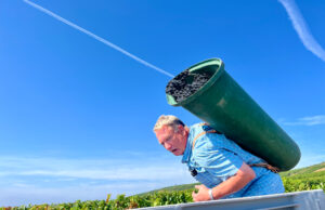Winzer für ein Jahr auf dem Weingut Paulinenhof „Wir kommen als Fremde und gehen als Freunde“