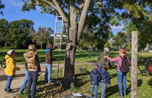 Erfreuliche Nistkastenreinigung des BUND Hattersheim Geringe „Schwundmenge“