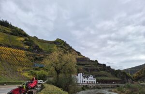 Weine von der Ahr im Hochheimer Weinbaumuseum