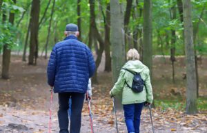 Waldspaziergang beim Seniorentreff der Naturfreunde