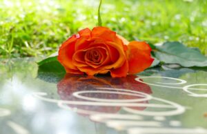 Hinweis zur Gestaltung pflegefreier Grabstätten auf den Friedhöfen