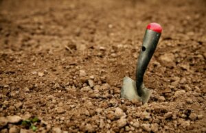 Projekt Rhein-Main-Link: Amprion kündigt Baugrunduntersuchungen in Bischofsheim an