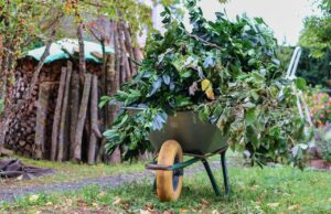 Allgemeine Grünschnittbfuhr am 31. März: Anmeldung erforderlich