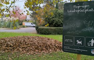 Es gibt wieder zwei Pop-up-Laubspielplätze in Bischofsheim
