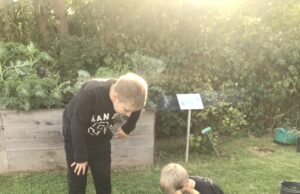 25 Jahre „BUND-Spechte“ Flörsheim