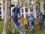 Ein neues Zuhause für Vögel im Quartier Umwelt-Team HaMü stärkt Artenvielfalt im Hartenberg