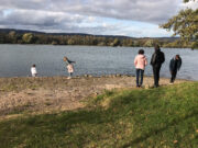 Kritik an Flächennutzungsplänen in Ingelheim Bürger fordern Balance zwischen Urbanisierung und Naturschutz