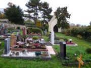 Laubenheimer Friedhof wird erweitert Trauerkultur >>>Neue Kolumbarienwände, Baumgräber und Wingertsgräber entstehen