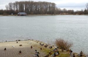 Zubringer zur Nato-Rampe soll verkehrssicherer werden Politik >>>Zahlreiche Verkehrsthemen im Laubenheimer Ortsbeirat